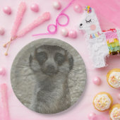 Metallmeerkat Pappteller (Party)