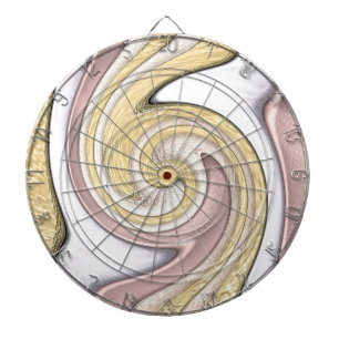 Metallmuster mit Glanz Dartscheibe