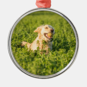 Metallornament mit Bild eines Golden Retrievers Ornament Aus Metall