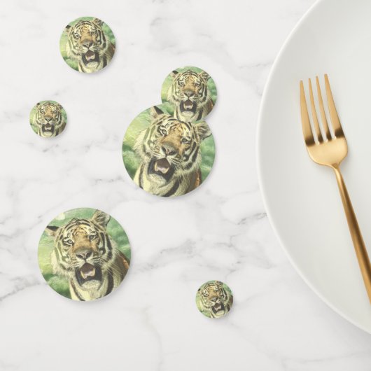 Metalltiger Konfetti (Gruppe)