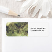 Metallvorhang (Insitu)