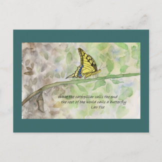 Metamorphose _1 Postkarte