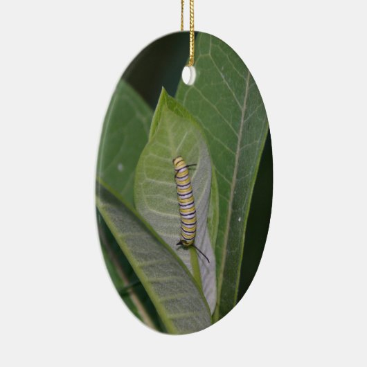 Metamorphose Keramikornament (Rechts)