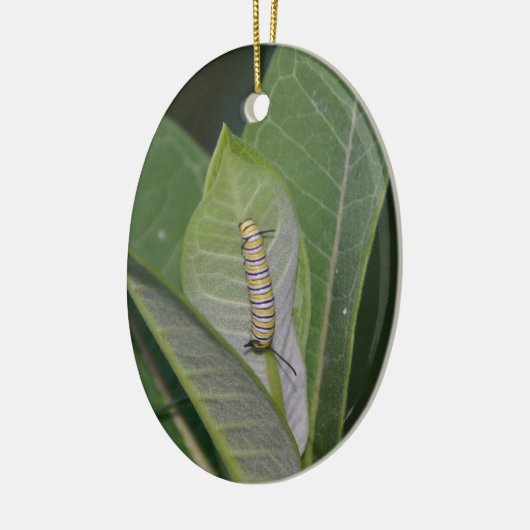 Metamorphose Keramikornament (Links)