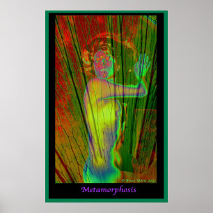 Metamorphose Poster