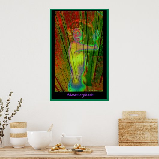 Metamorphose Poster (Küche)
