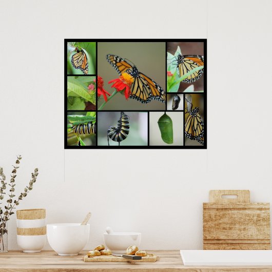 Metamorphose Poster (Küche)