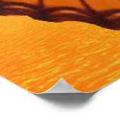 Metamorphose von Nosferatu Dracula Poster (Ecke)