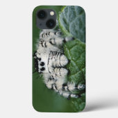 Metaphid Jumping Spider Case-Mate iPhone Hülle (Rückseite)