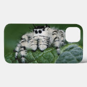 Metaphid Jumping Spider Case-Mate iPhone Hülle (Rückseite (Horizontal))