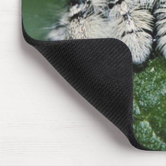 Metaphid Jumping Spider Mousepad (Ecke)