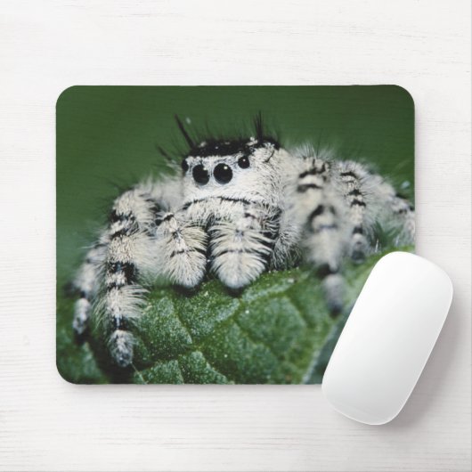 Metaphid Jumping Spider Mousepad (Mit Mouse)