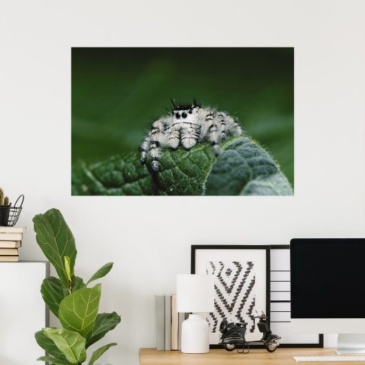 Metaphid Jumping Spider Poster (Heimbüro)