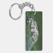 Metaphid Jumping Spider Schlüsselanhänger (Vorderseite links)