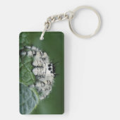 Metaphid Jumping Spider Schlüsselanhänger (Rückseite)