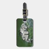 Metaphid Springspinne Gepäckanhänger (Vorderseite vertikal)