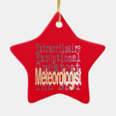 Meteorologe Extraordinaire Keramik Ornament (Hinten)