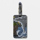 Meteorologie, 1830 gepäckanhänger (Rückseite vertikal)