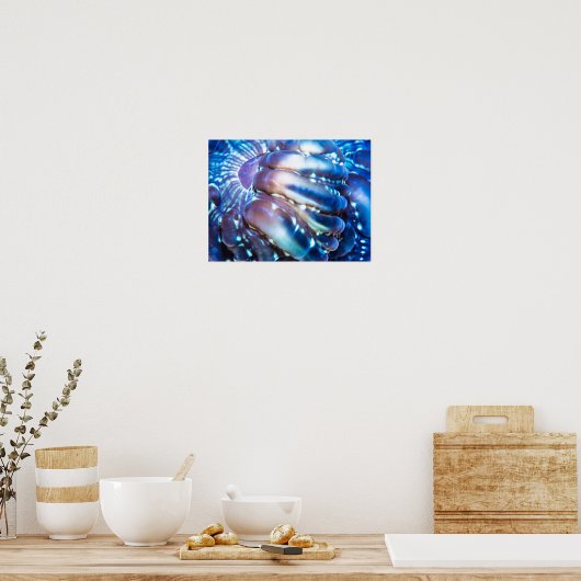 Meterlische Koralle Poster (Küche)