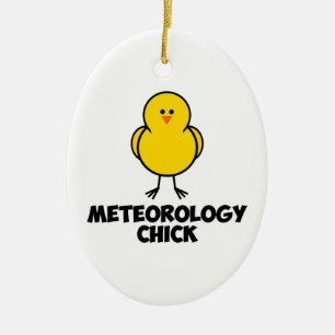 Meterology Küken Keramikornament