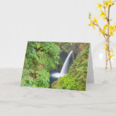 Metlako Falls Karte (Gelbe Blume)