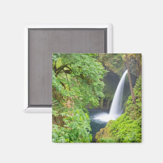 Metlako Falls Magnet (Vorderseite/Rückseite)