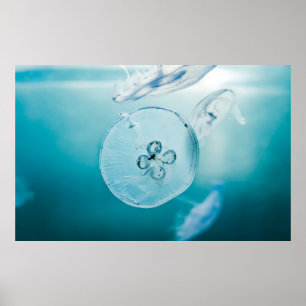 METROID IST, DASS SIE POSTER