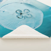 METROID IST, DASS SIE SHERPADECKE (3/4)