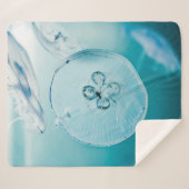 METROID IST, DASS SIE SHERPADECKE (Vorderseite (Horizontal))