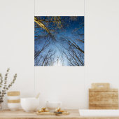 Metropark Scioto Grove, Grove City, Ohio Poster (Küche)