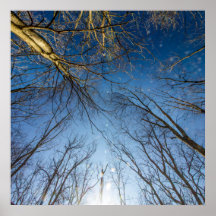 Metropark Scioto Grove, Grove City, Ohio