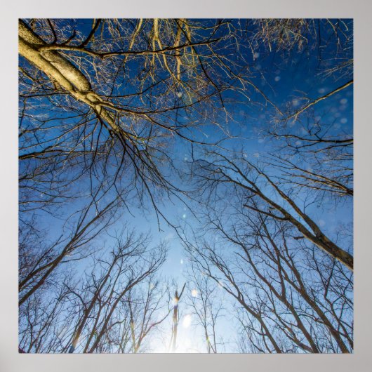 Metropark Scioto Grove, Grove City, Ohio Poster (Vorne)