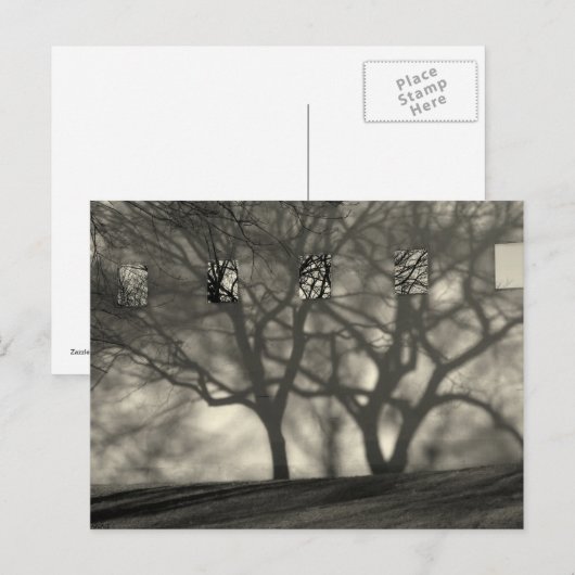 Metropolitan Shadows Postcard Postkarte (Vorne/Hinten)