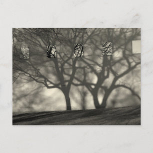 Metropolitan Shadows Postcard Postkarte