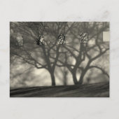 Metropolitan Shadows Postcard Postkarte (Vorderseite)