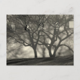 Metropolitan Shadows Postcard Postkarte