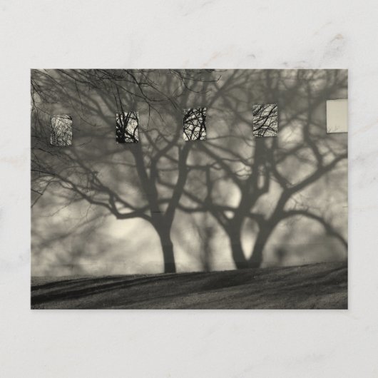 Metropolitan Shadows Postcard Postkarte (Vorderseite)