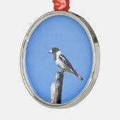 METZGER-VOGEL AUF EINEM POSTEN IN LÄNDLICHEM SILBERNES ORNAMENT (Links)