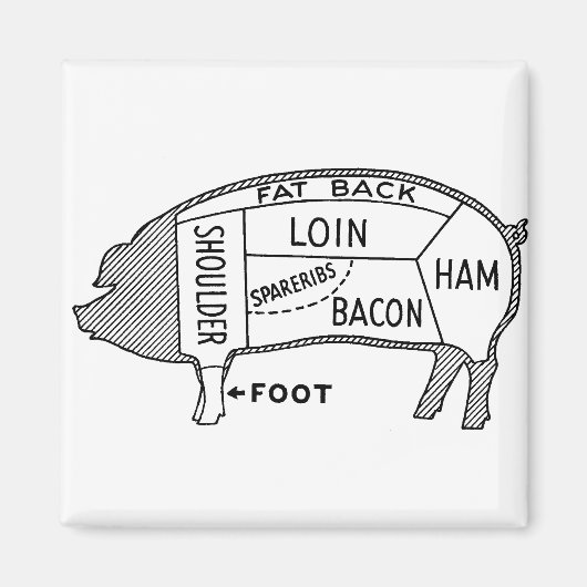 Metzgerdiagramm Magnet (Vorne)