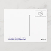 Mevagissey Cornwall England Postkarte (Rückseite)