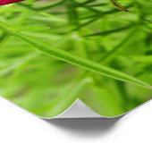 Mexican aster flower with a Doris Longwing  Poster (Ecke)