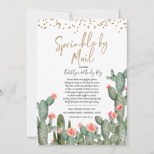 Mexican Cactus Sprinkle by Mail Baby Shower Einladung (Vorderseite)