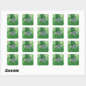 Mexican Gray Wolf #1 Stickers (Blatt)