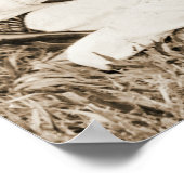 Mexican Guitar Duet 1911 Poster (Ecke)