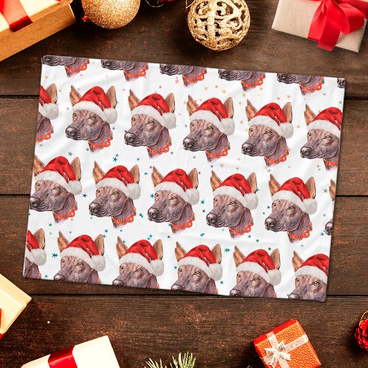 Mexican Hairless Dog Breed Christmas Stars Fleecedecke