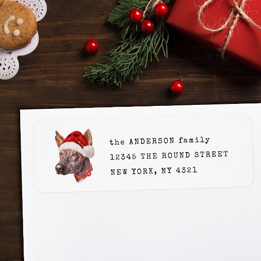 Mexican Hairless Xoloitzcuintle Rücksendeadresse