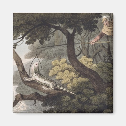 Mexican Lizard Catcher, graviert von Matthew Dubou Magnet (Vorne)