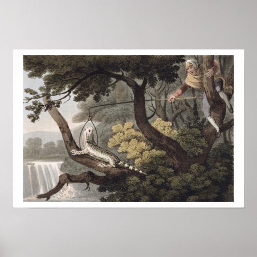 Mexican Lizard Catcher, graviert von Matthew Dubou Poster (Vorne)