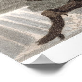 Mexican Lizard Catcher, graviert von Matthew Dubou Poster (Ecke)