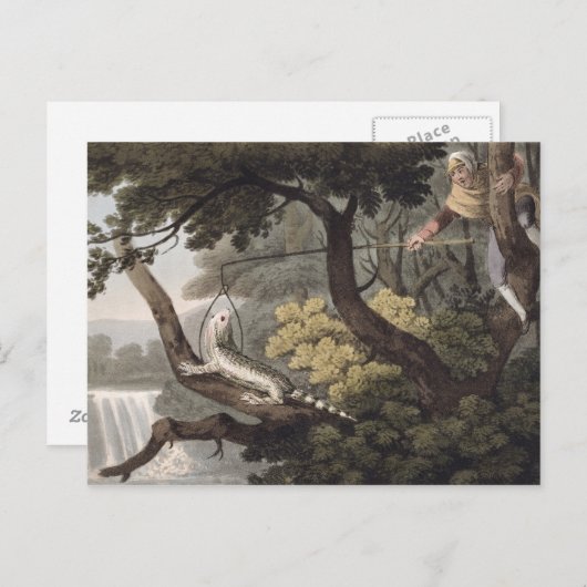 Mexican Lizard Catcher, graviert von Matthew Dubou Postkarte (Vorne/Hinten)